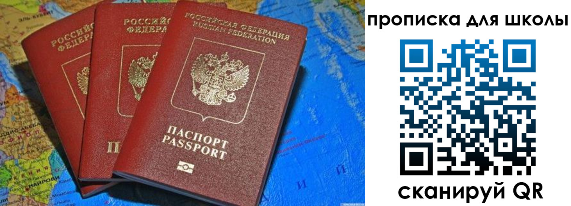 прописка в квартире в Светлогорске
