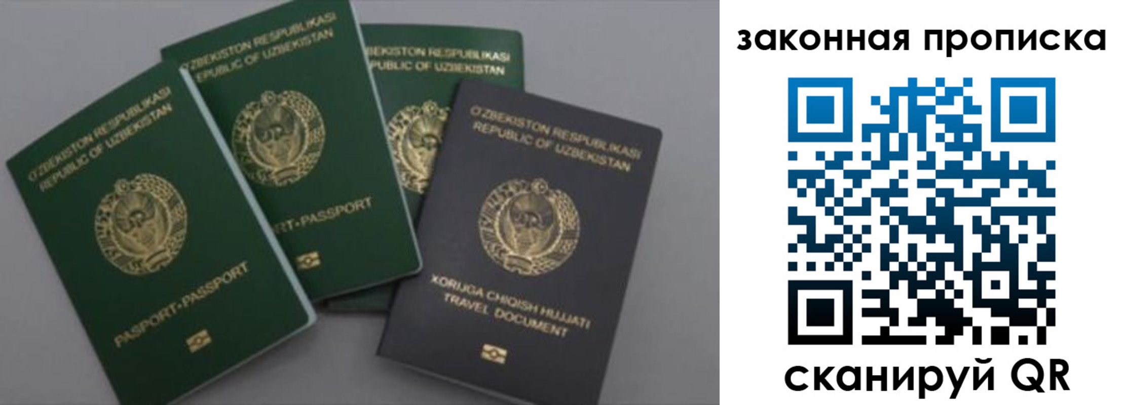 прописка законно в Светлогорске