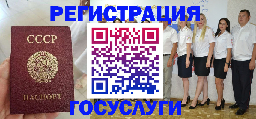 где прописаться в Светлогорске